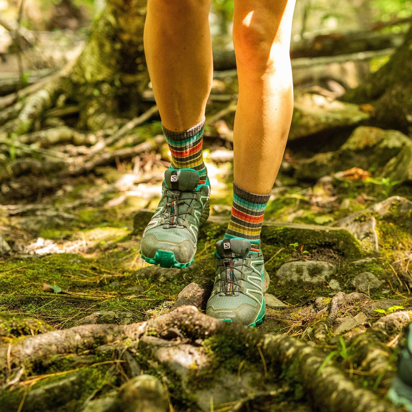 Women's Decade Stripe Micro Crew Midweight Hiking Sock
